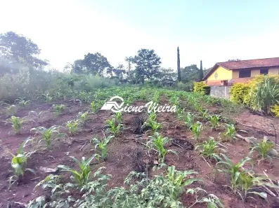 Lote/Terreno à venda, 2403m² no Chácaras Reunidas Canadá, Santa Isabel