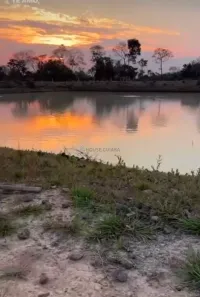 Fazenda/Sítio com 3 Quartos à venda, 180m² no Área Rural de Várzea Grande, Várzea Grande