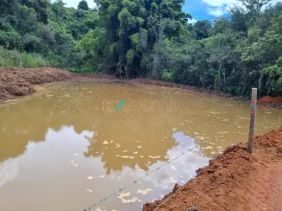 Fazenda/Sítio com 1 Quarto à venda, 77440m² no Centro, Turvolândia