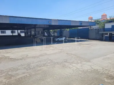 Galpão/Depósito/Armazém para alugar, 3140m² no Vila Ribeiro de Barros, São Paulo