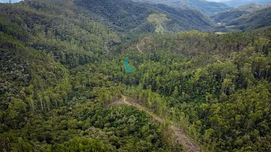 com 2 Quartos à venda, 1m² no , Delfim Moreira