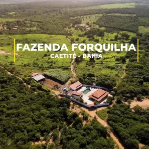 Fazenda/Sítio com 3 Quartos à venda, 485315m² no Área Rural de Caeté, Caetité