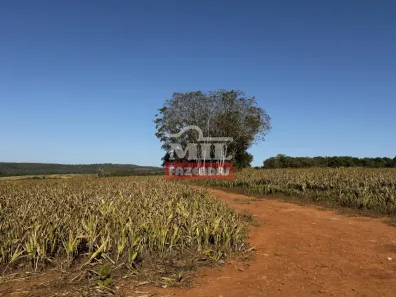 Fazenda/Sítio à venda, 500m² no , Santa Cruz de Goiás