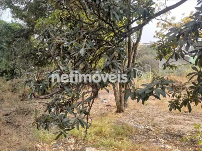 Lote/Terreno à venda, 600m² no Céu Azul, Belo Horizonte