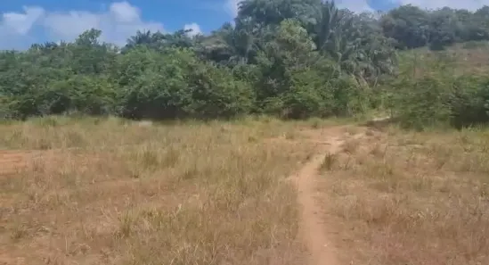 Lote/Terreno à venda, 11000m² no , Tamandaré