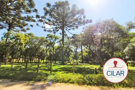 Lote/Terreno à venda, 2m² no Botiatuba, Almirante Tamandaré