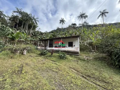 Fazenda/Sítio com 4 Quartos à venda, 242000m² no , Pedro de Toledo
