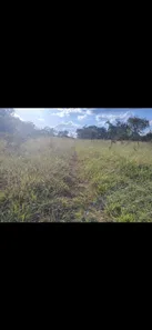Fazenda/Sítio à venda, 20m² no Jardim dos Ipês, Anápolis