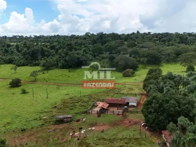 Fazenda/Sítio à venda, 500m² no , Santa Rosa de Goiás