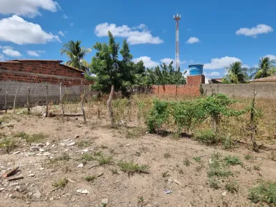 Galpão/Depósito/Armazém à venda, 375m² no Caraúbas, Caraúbas