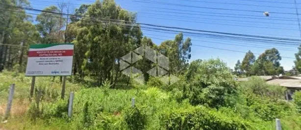 Lote/Terreno à venda, 34631m² no São Ciro, Caxias do Sul