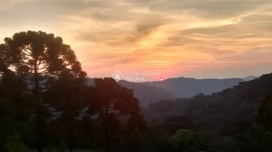 Lote/Terreno à venda, 30000m² no , Canela