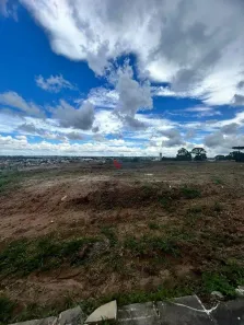 Lote/Terreno à venda, 1000m² no Jardim Amélia, Pinhais