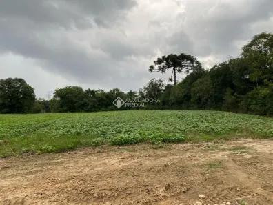 Fazenda/Sítio à venda, 20148m² no Felpudo, Campo Largo