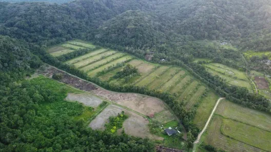 Fazenda/Sítio com 2 Quartos à venda, 340298m² no Guaraqueçaba, Guaraqueçaba