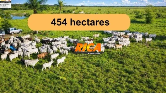 Fazenda/Sítio com 1 Quarto à venda, 4540000m² no , Candeias do Jamari