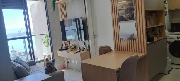 Apartamento com 2 Quartos à venda, 51m² no Santo Cristo, Rio de Janeiro