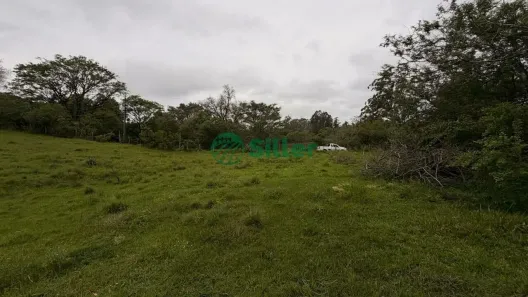Fazenda/Sítio à venda, 1050m² no Morungava, Gravataí