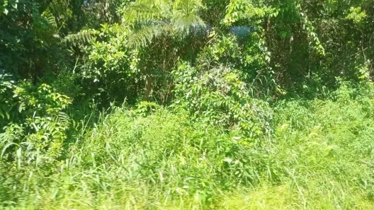Lote/Terreno à venda, 6983m² no Gaivota (Interior), Itanhaém