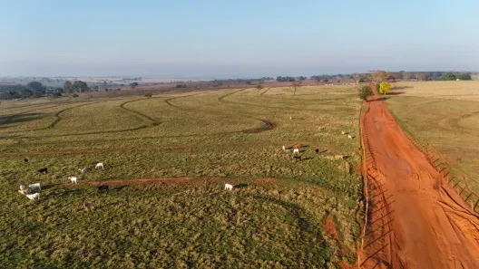 Fazenda/Sítio à venda, 151250m² no Centro, Palestina