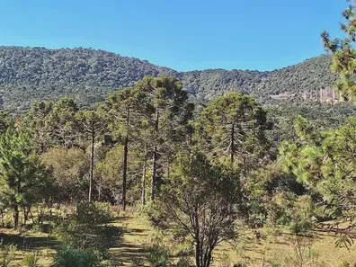 Lote/Terreno à venda no , Urubici