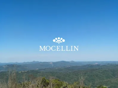 Lote/Terreno à venda, 20000m² no São Luiz do Purunã, Balsa Nova