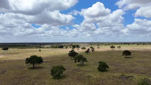 Fazenda/Sítio com 4 Quartos à venda, 1590000m² no , Macaíba