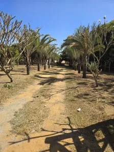 Fazenda/Sítio à venda, 4800m² no Centro, Abadia de Goiás