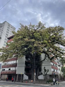 Apartamento com 3 Quartos à venda, 143m² no Menino Deus, Porto Alegre