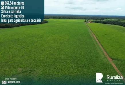Fazenda/Sítio à venda, 667m² no , Palmeirante