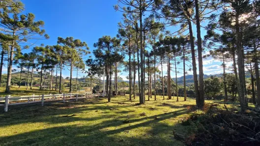 Fazenda/Sítio à venda, 20000m² no Área Rural de Lages, Lages
