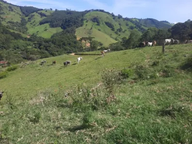 Fazenda/Sítio com 1 Quarto à venda, 411400m² no , Joanópolis