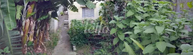 Lote/Terreno à venda, 300m² no Vila Invernada, São Paulo