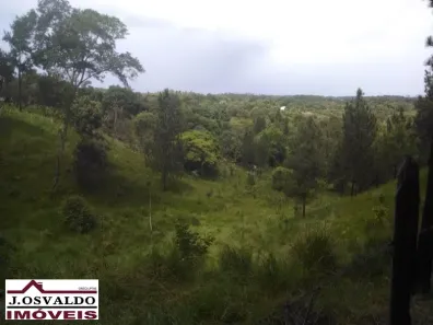 Fazenda/Sítio com 2 Quartos à venda, 262m² no , Mata de São João