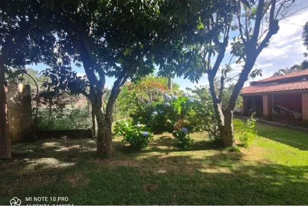 Fazenda/Sítio com 3 Quartos à venda, 300m² no Bairro do Moinho, Toledo