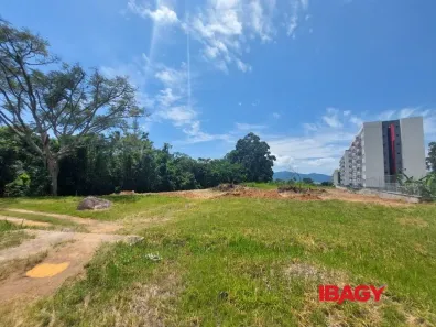 Lote/Terreno para alugar, 15898m² no Praia do Pontal, Palhoça