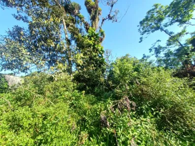 Lote/Terreno à venda, 280m² no Jardim Coronel, Itanhaém