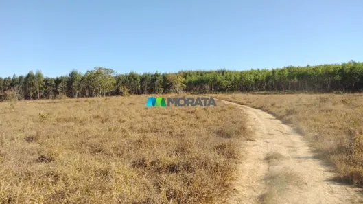 Fazenda/Sítio com 1 Quarto à venda, 286m² no , Abaeté