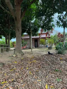 Fazenda/Sítio à venda, 1m² no Juncado, Sooretama