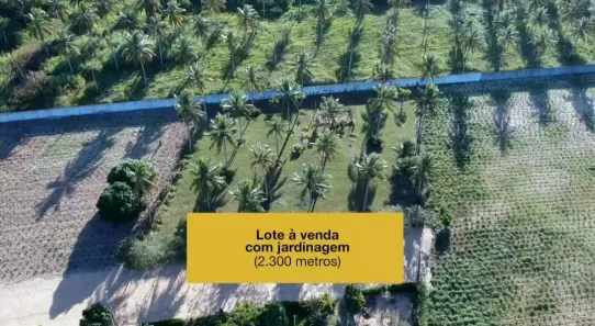 Fazenda/Sítio à venda, 2500m² no , Monte Alegre