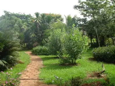 Fazenda/Sítio com 2 Quartos à venda, 5000m² no Chácaras Vargem Bonita II, Senador Canedo