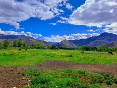 Fazenda/Sítio à venda, 500m² no Ibiúna, Ibiúna