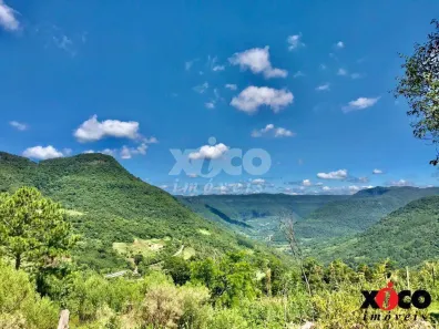 Fazenda/Sítio com 1 Quarto à venda, 5000m² no , Nova Petrópolis