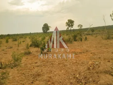 Fazenda/Sítio com 1 Quarto à venda, 323m² no Vila Moreninha III, Campo Grande