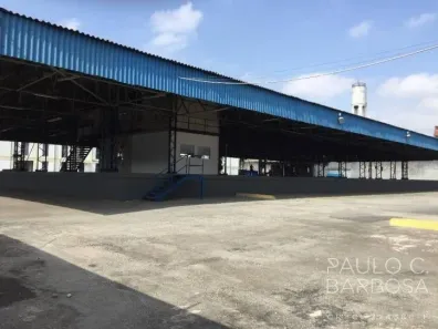 Galpão/Depósito/Armazém para alugar, 6210m² no Vila Ribeiro de Barros, São Paulo