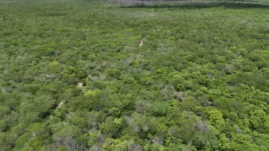 Fazenda/Sítio com 1 Quarto à venda, 32000000m² no , Açu