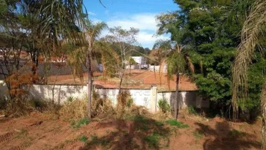 Imóvel Comercial à venda, 8000m² no Parque Santa Terezinha, Bauru