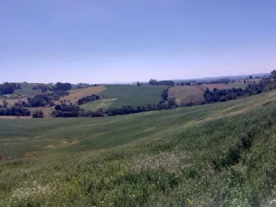 Lote/Terreno com 1 Quarto à venda, 72600m² no , Nova Tebas
