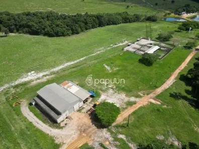 Fazenda/Sítio com 3 Quartos à venda, 64800000m² no Zona Rural, Santo Antônio do Leste