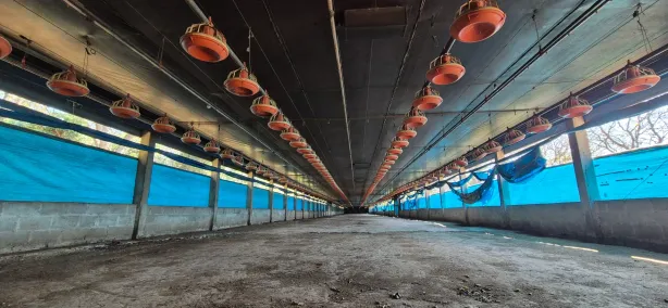 Fazenda/Sítio com 3 Quartos à venda, 400m² no , Pedreira